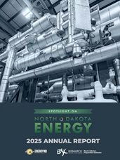 Cover of the Energy Annual Report